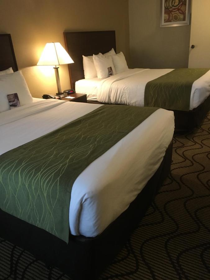 סנטה אנה Comfort Inn & Suites Orange County John Wayne Airport מראה חיצוני תמונה